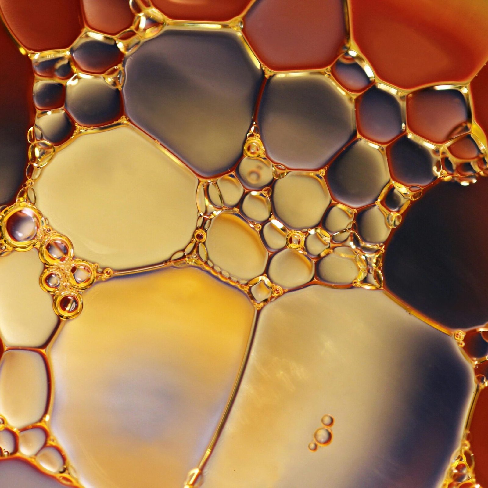 Close-up of colorful oil and water interaction creating a vibrant abstract pattern.